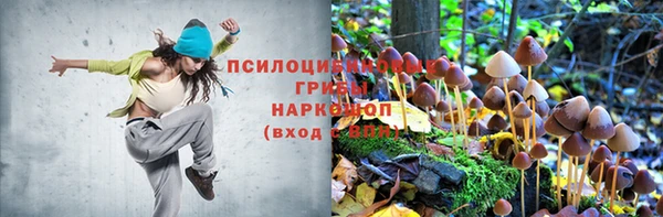 альфа пвп Белокуриха