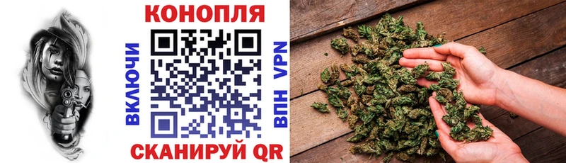 Конопля VHQ  где найти   Купино 